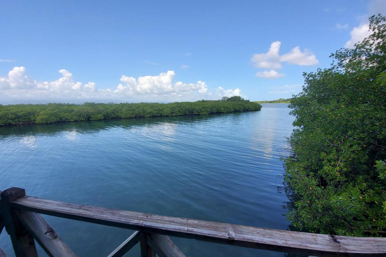 The Sunsetter Bed&Breakfast Bocas del Toro Exterior foto