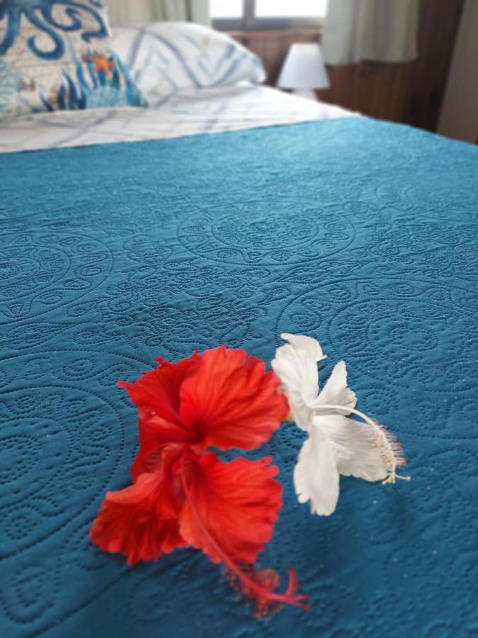The Sunsetter Bed&Breakfast Bocas del Toro Exterior foto